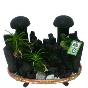 버섯모양 숯부작 BMTFH018