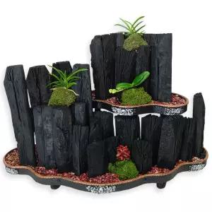 2단숯부작 2호MTFH011