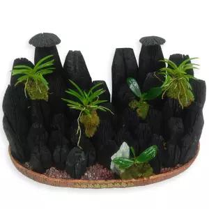 숯부작 4호MTFH010