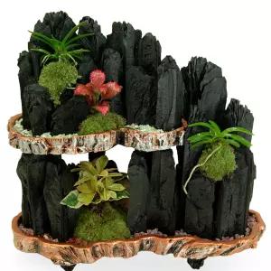 2단숯부작 1호MTFH009