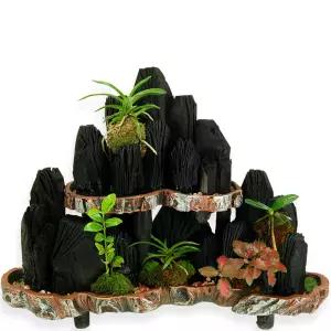 숯부작 3호MTFH006