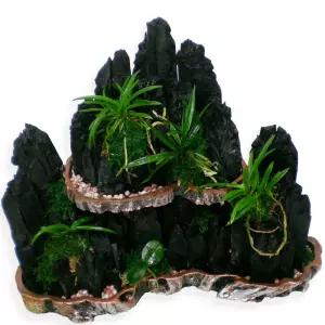 숯부작 1호MTFH001