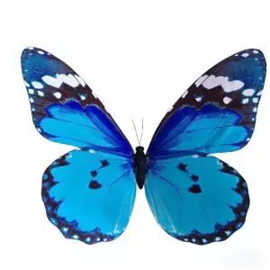 드론 대형 무선 조종 결혼식 공연 행사 LED 일반