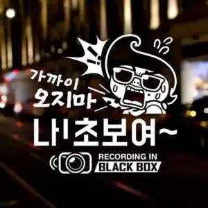 [CAR] 자동차스티커 초보운전 반사시트지 가까이오지마 문구