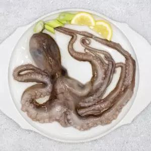 냉동 활낙지 850g 3미 X6개 2383134 J