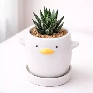 깜도리3 화이트 캐릭터 오리 화분 애니멀 도기 S 모던 6x6cm