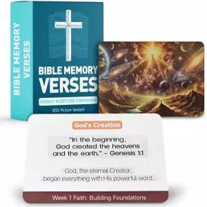 52주 아름다운 삽화 성경 구절 카드 연중 주간 - 개인 또는 그룹 스터디 암기 명상 기도용 공부 플래시카드