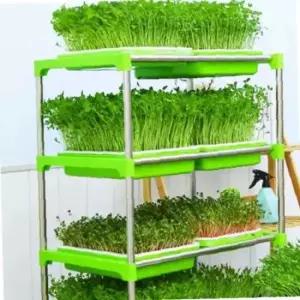 디모토 그린 수경재배기 식물재배기 새싹보리 키우기