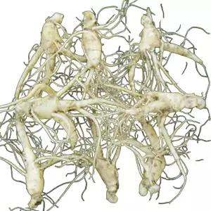 금산인삼 참인삼 대 난발삼 9-12뿌리 750g 1개