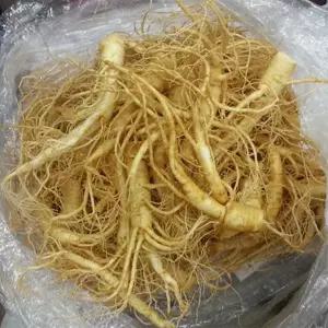 풍기인삼 실속형 난발 난발삼 수삼 750g 1개