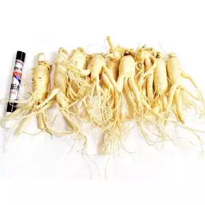 잔소난발삼 가정용인삼 세척수삼 400g 1개 9뿌리 내외 6-5년근