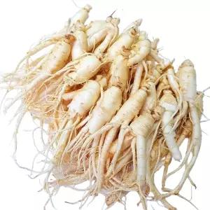 인삼농장작콩난발 30-80뿌리내외 750g 1개