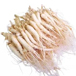 세척인삼수삼 소삼계삼 50~60뿌리내외