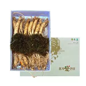 풍기인삼제조창 6년근 풍기인삼 500g 1개 15-20뿌리