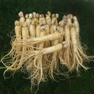 금산인삼 참인삼 원수삼 믹서용21-26뿌리750g 1개