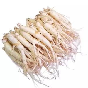 인삼농장세척 중 삼계삼 30-40뿌리내외 750g 1개