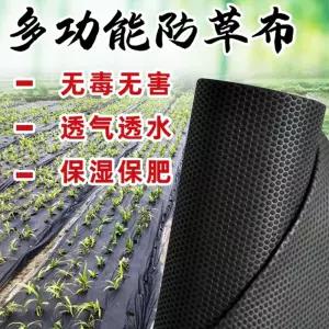 매트 100장 사각 100매 대형 덮개 부직포 천 묘목 덥개 1mx1m