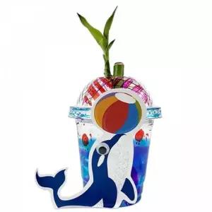 식물 TBZ 만들기대장-고래 개운죽 화분만들기