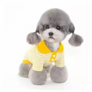 반려동물 TBZ OH-M 쁘띠 카라티 강아지옷 평상복