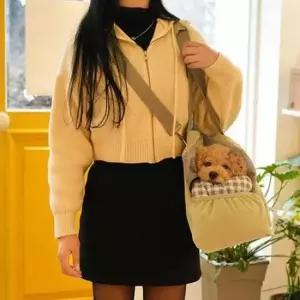 [반려] 강아지 이동가방 민트 애견가방 반려견이동가방 애견이동가방