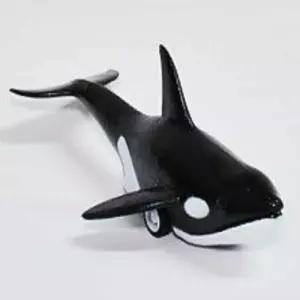 6종 바다생물모형 피규어 물고기장난감 물고기관찰