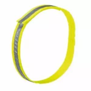 [반려] 애견 야광 목띠 XL 애완견목줄 개리드줄 개목줄