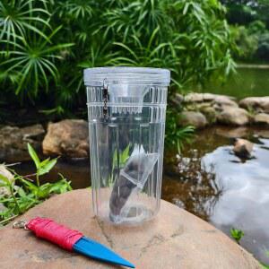 야외에서 낚시하는 미노우 소형 있는 경질 내구성 수족관 플라스틱 트렁톤 휴대용 낚시에 어린이를 물고기 미끼 용기 위한 거북이 적합한