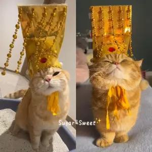 onyou 고양이 강아지 황제 왕관 모자 촬영 소품 반려동물 헤드피스