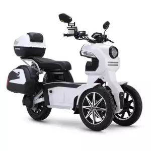 역삼륜오토바이 전기스쿠터 앞바퀴 삼륜 삼토바이