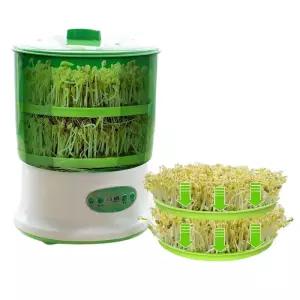 콩나물 재배기 숙주 키우기 수경 2단 가정용 재배 항아리