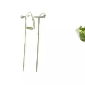 수경재배기 가정용 실내 채소 상추 식물 발코니 자동 육묘