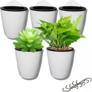 화분 5팩 물걸기 다육식물 및 작은 실내외 벽걸이 창문 상자 5갈고리 실버 흰색