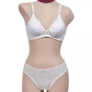 주니어 3단계 A컵 메쉬 브라 팬티 세트 활동성 큐트 로맨틱 10대여자