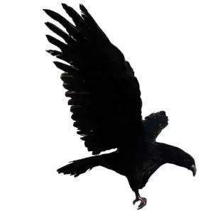 대형 맹금류 모형 보호 농작물 과수원 조형물 독수리