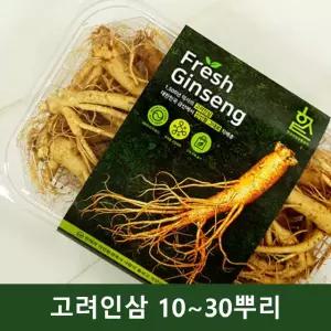 생인삼 삼계탕 인삼 세척 금산 고려 600g
