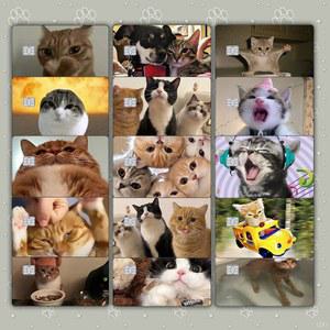귀여운 고양이 밈 신용카드 스킨 스티커 고양이 팅 매트 스티커 비자 JCB 마스터카드 및 기타 IC 마그네틱 카드용