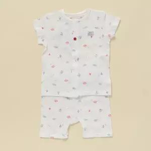 [롯데백화점]타티네쇼콜라 씨씨내의[TNNMXS629-W]