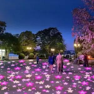 바닥 빔 광고 영사기 야외 홍보 벽면 행사 식당 회전형 로고젝트 지상 축제 간판 고보