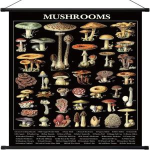 Geeye 빈티지 버섯 포스터 소박한 태피스트리 장식 벽 아트 프린트 레트로 벽걸이 일러스트레이션 참조