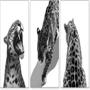 플레녹스 흑백 치타 캔버스 월 아트 프린트 세트 3종 레오파드 룸 데코 빈티지 트렌디 포스터 여자 침실