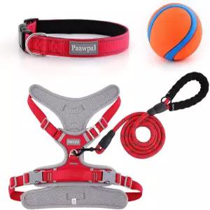 조절 가능한 개 하네스 소형 중형 대형견을 위한 당김 방지 반사형 부드러운 패딩 처리 목줄 및 칼라 레드