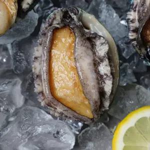 완도 활 전복 1kg(13-14미)/중+손질도구 포함