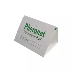보키니 영국산 화랑곡나방 권연벌레 쌀벌레 페로몬 끈끈이 트랩 중