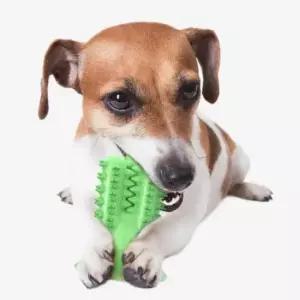 [반려] 치카토이 치석제거 초록선인장 치석제거장난감 애견