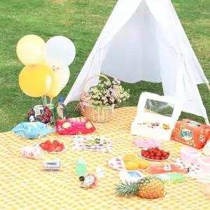 한강돗자리 야외용돗자리 캠핑 감성돗자리 체크 방수돗자리 (150x200) RD-10253