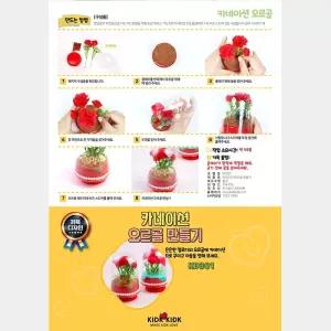 카네이션 오르골 (2색 택1) DIY 패키지 (10개 묶음)