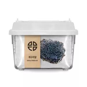 [무료 특가] 개구리 한살이 토종 개구리 알 관찰 키트