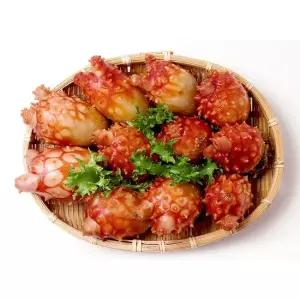 활멍게 2kg 16 24미