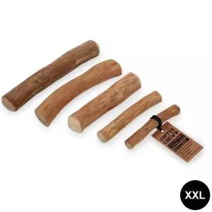 멜슨 커피나무 100% 커피츄 XXL 강아지 우드스틱 장난감