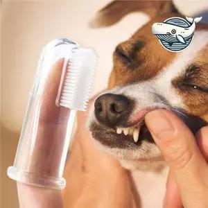 강아지 구강 관리 손가락 미니 칫솔 치석 제거
